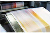 Digital and Litho Printing